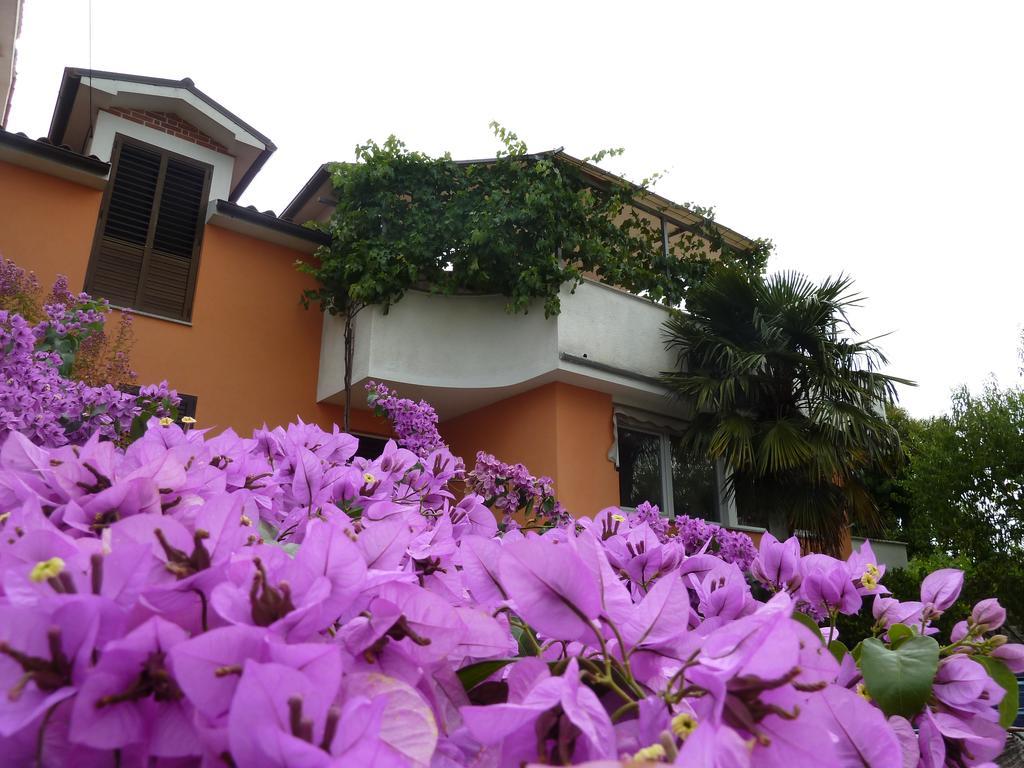 Apartma Marina Piran Ngoại thất bức ảnh